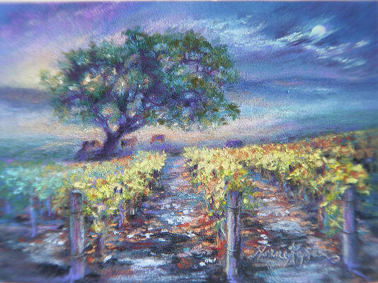 Full Moon Over The Vineyard by Denise Horne-Kaplan Full Moon Over The Vineyard by Denise Horne-Kaplan