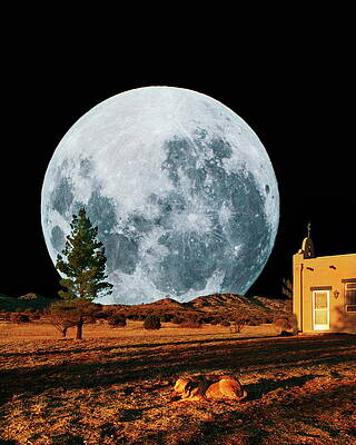 Wall Art - Photograph - Full Moon by Science Photo Library