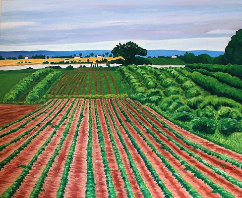 Furrows by Janice Best Furrows by Janice Best