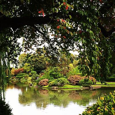 Garden View by Rodger Mansfield Garden View by Rodger Mansfield