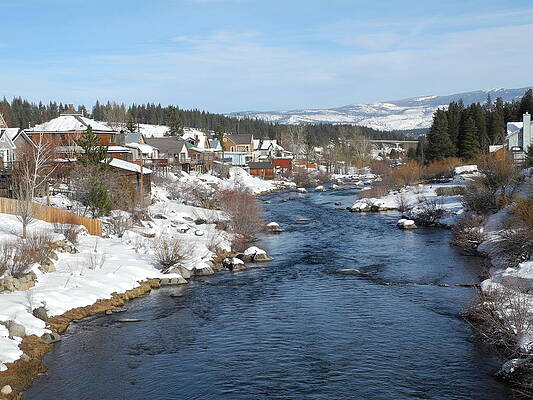 Gazing Over the Truckee River by Sue McElligott Gazing Over the Truckee River by Sue McElligott