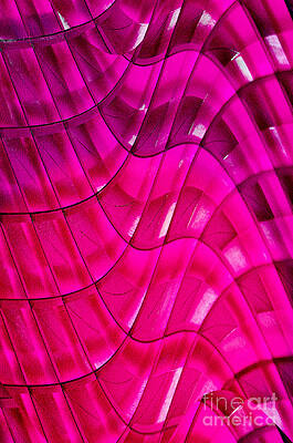 Wall Art - Photograph - Geometrical Colors and Shapes 6 by Kaye Menner