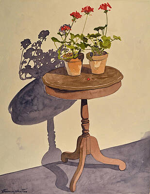 Geraniums on Stand by Thomas Stratton Geraniums on Stand by Thomas Stratton