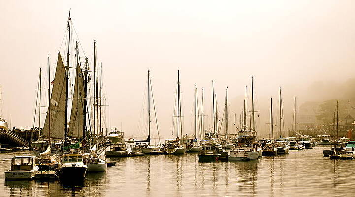 Ghost Ships by Corinne Rhode Ghost Ships by Corinne Rhode