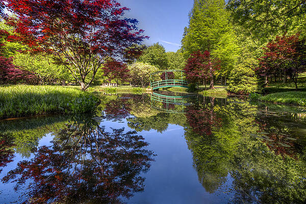Wall Art - Photograph - Gibbs Garden by Debra and Dave Vanderlaan