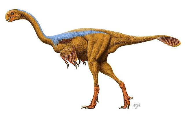 Wall Art - Photograph - Gigantoraptor Erlianensis Dinosaur by Science Photo Library