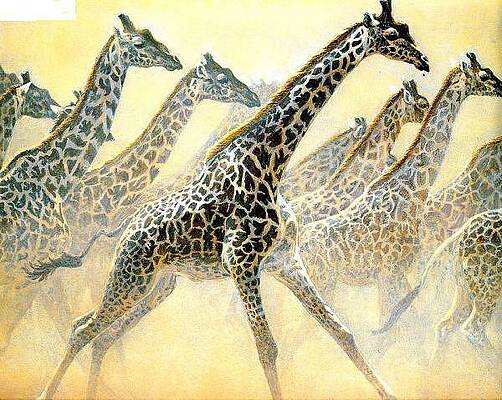 Giraffes running by Odei Nyamekye