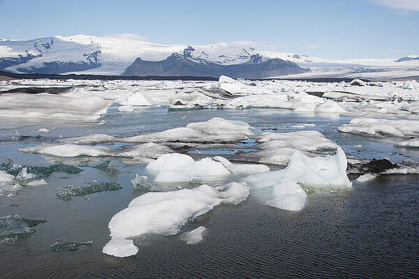 Wall Art - Photograph - Glacial Icebergs In Jokulsarlon Lagoon by Bill Coster