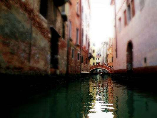 Wall Art - Photograph - Gliding Along the Canal  by Micki Findlay