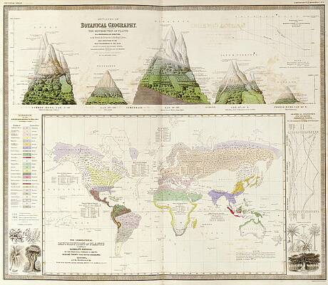 Wall Art - Photograph - Global Botanical Geography by Science Photo Library