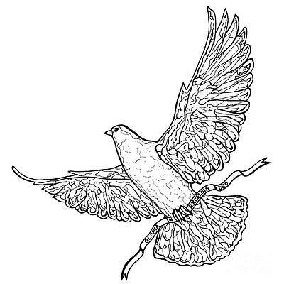 Glory Dove by Leigh Eldred Glory Dove by Leigh Eldred