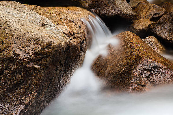 Wall Art - Photograph - Glow by Chuck Jason