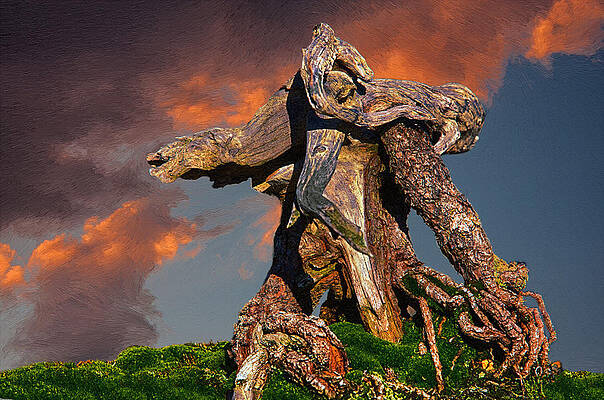Wall Art - Painting - Gnarled Tree Trunk at Sunset by John Haldane