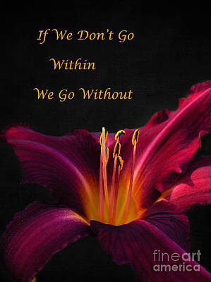 Wall Art - Photograph - Go Within by Kathi Mirto