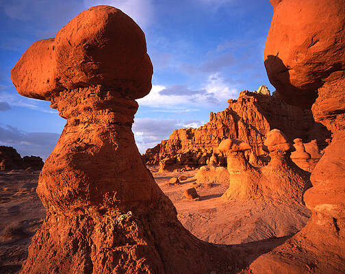 Wall Art - Photograph - Goblin Playground by Ray Mathis
