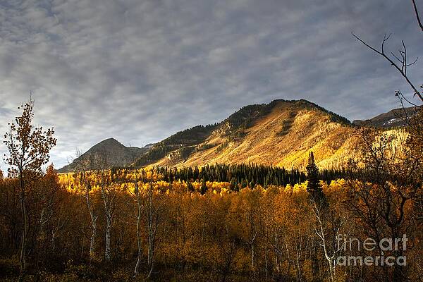Golden Autumn Sunrise by Timpanogos Photography Golden Autumn Sunrise by Timpanogos Photography