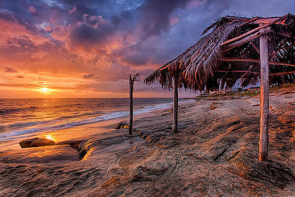 Golden Sunset The Surf Shack by Peter Tellone Golden Sunset The Surf Shack by Peter Tellone