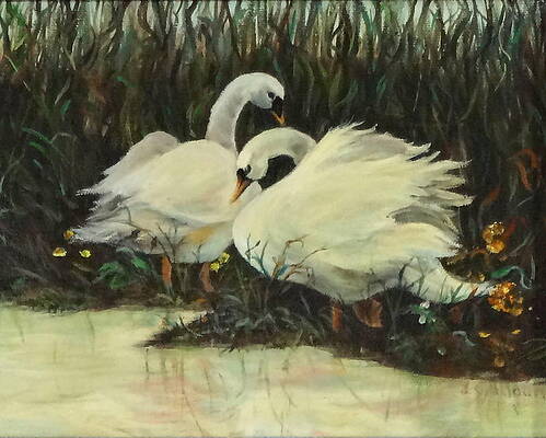 Graceful Swans by Jennifer Calhoun