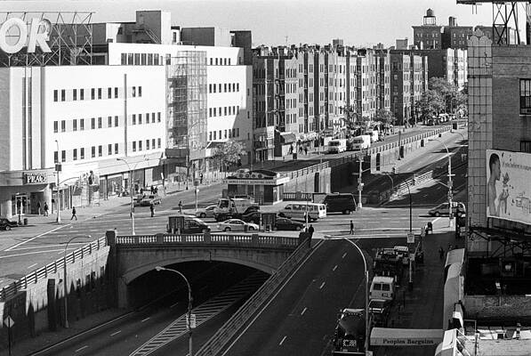 Grand Concourse Bronx by Dave Beckerman Grand Concourse Bronx by Dave Beckerman
