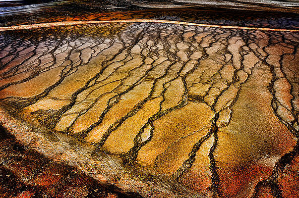 Grand Prismatic Spring Texture by John Drew