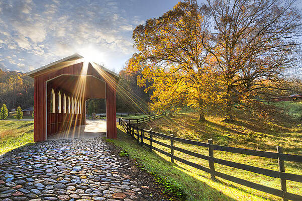 Wall Art - Photograph - Granny Squirrel Bridge by Debra and Dave Vanderlaan