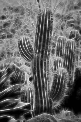 Cactus Wall Art featuring the photograph Graphic Cactus by Kelley King