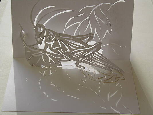 grasshopper pop up card by Alfred Ng grasshopper pop up card by Alfred Ng