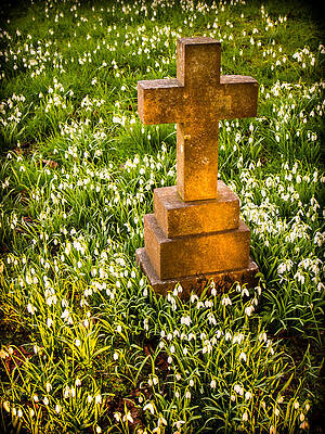 Wall Art - Photograph - Gravestone with snowdrops by Mark Llewellyn