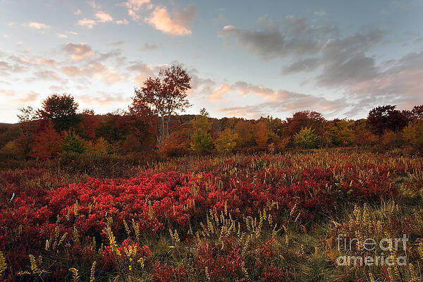 Graveyard Fields 2010 by Matthew Turlington Graveyard Fields 2010 by Matthew Turlington