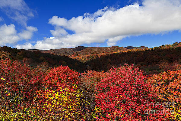 Wall Art - Photograph - Graveyard Fields in the Mountains by Jill Lang