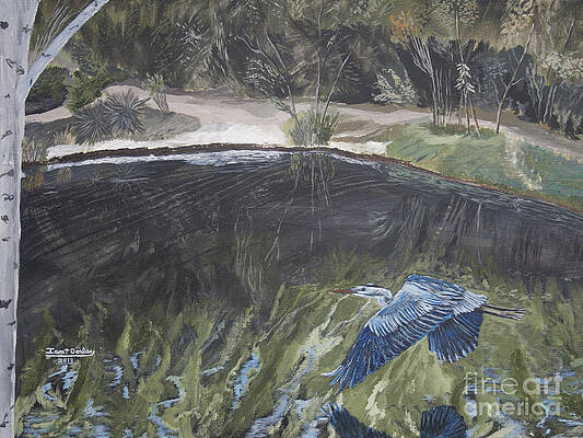 Great Blue Heron in Flight by Ian Donley Great Blue Heron in Flight by Ian Donley
