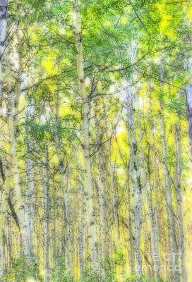 Green and Yellow by Wanda Krack Green and Yellow by Wanda Krack
