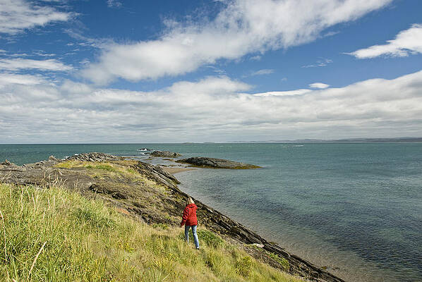 Wall Art - Photograph - Green Island by Andrew J. Martinez
