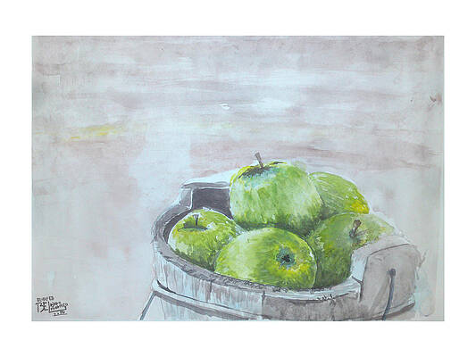 Green Shiny Apples In A Bucket by Mohamed Elhafed Beldjarou