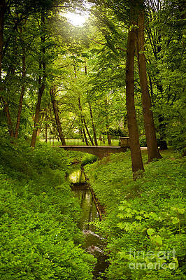 Green spring trees and bridge by Arletta Cwalina Green spring trees and bridge by Arletta Cwalina