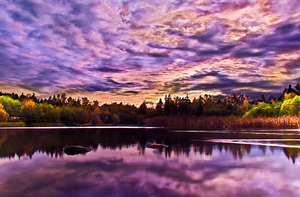 Green Timbers Park at Sunset by Eva Kondzialkiewicz Green Timbers Park at Sunset by Eva Kondzialkiewicz