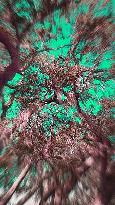 Green Web Of Trees by Stephanie  Turowski