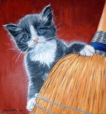 Grey and White Cat by Jeannette Tramontano Grey and White Cat by Jeannette Tramontano