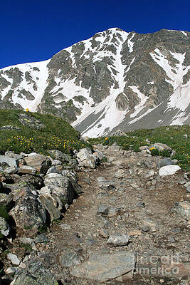 Alpine Pathway by James Moore Alpine Pathway by James Moore