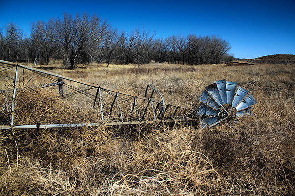 Wall Art - Photograph - Grounded by Shane Bechler
