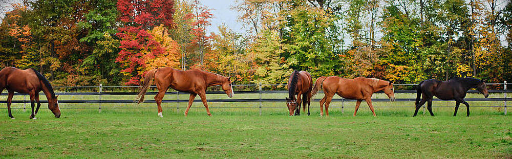 Group Activity by Kristi Swift Group Activity by Kristi Swift