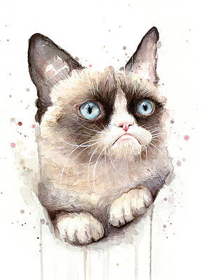 Angry cat : r/Watercolor