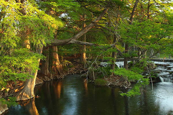 Guadalupe River 2AM-115627 by Andrew McInnes Guadalupe River 2AM-115627 by Andrew McInnes