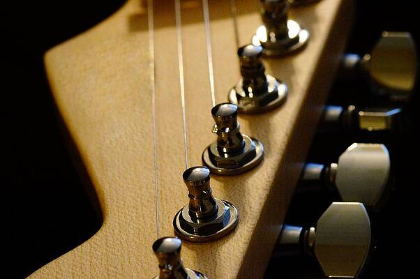 Wall Art - Photograph - Guitar in Color by Mike Murdock