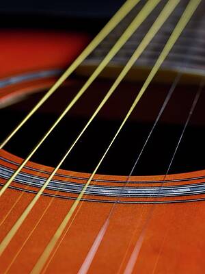 Wall Art - Photograph - Guitar Strings by Science Photo Library