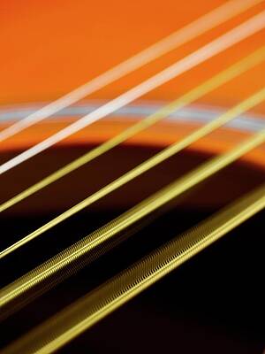 Wall Art - Photograph - Guitar Strings Vibrating by Science Photo Library