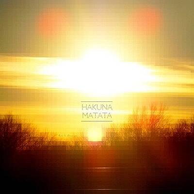 Wall Art - Photograph - Hakuna Matata || Random Edit I Did Last by Traci Beeson