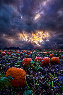 Wall Art - Photograph - Halloween is Near by Phil Koch