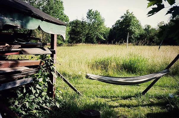Hammock by David Swift