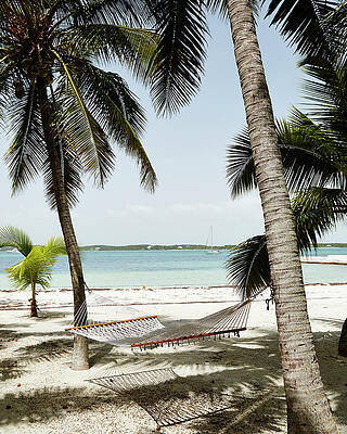 Wall Art - Photograph - Hammock On The Beach In The Bahamas by Stephen DeVries